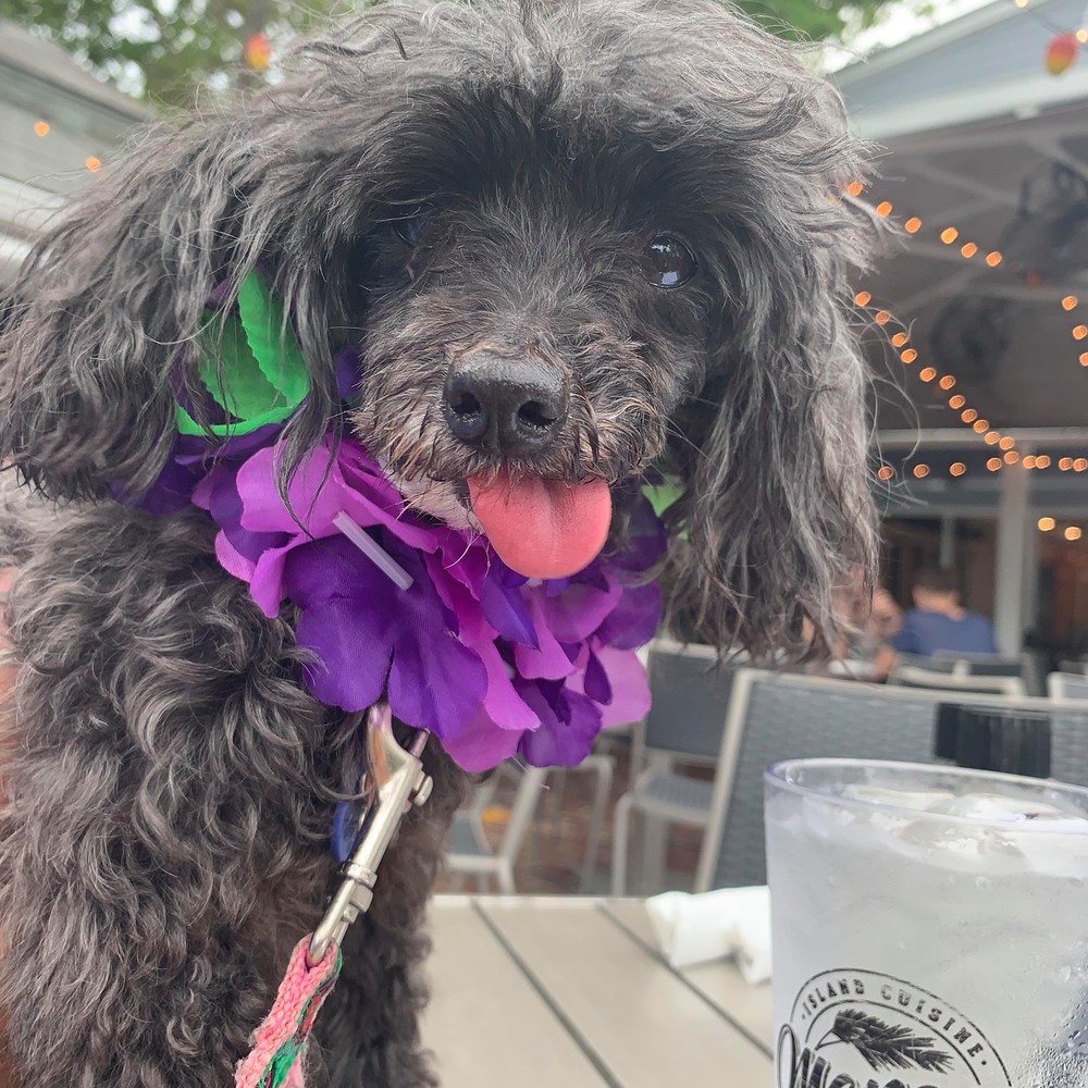 Meet your Posher, Michelle